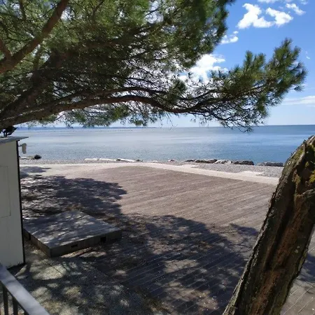 Pensjonat Casa Lenka 3*