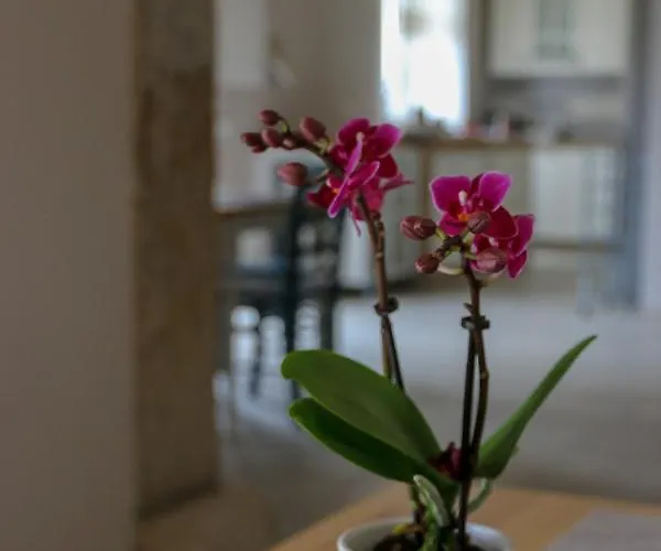 Casa Lenka Konukevi 3*